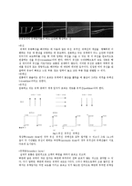 유체역학실험 - 수소기체를 통한 유동가시화 실험-2
