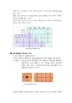 고체 물리학 - 반도체에 관해서-4