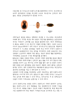 고체 물리학 - 반도체에 관해서-7