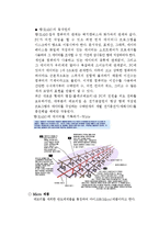 고체 물리학 - 반도체에 관해서-14