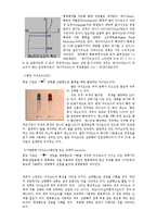 전기전자 - 다이오드의 원리와 적용사례-4
