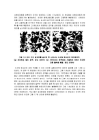 [철강재료] 강의 열처리 - 철강 조직관찰 결과 보고서-8