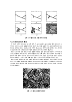 [철강재료] 강의 열처리 - 철강 조직관찰 결과 보고서-11