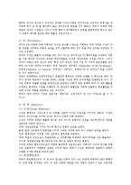 영국의 정치문화 - 영국의 민주주의 발전사, 영국의 행정체계, 영국의 관료제를 분석-6