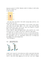 생물실험 - 광합성 색소의 분리-5
