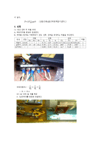 전기기기 및 실험 - 교류 단상 및 3상회로의 전력과 역률 측정-12