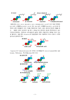 생물학 실험보고서[a+자료] - 지질의 검정-4