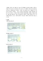 생물학 실험보고서[a+자료] - 지질의 검정-7