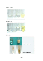 생물학 실험보고서[a+자료] - 지질의 검정-8