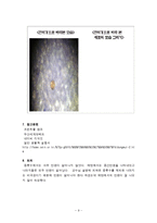 생물학 실험보고서[a+자료] - 지질의 검정-9