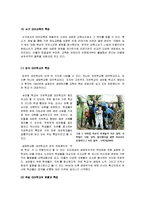 특수 교육학[a+자료] - 대안학교에 대해서-5