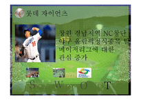롯데자이언츠 구단운영 경영전략분석및 롯데자이언츠 SWOT분석(스피치대본포함)-20
