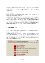 스타오(SPAO)의 성공요인과 문제점 및 향후 발전방안-2