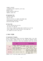 스타오(SPAO)의 성공요인과 문제점 및 향후 발전방안-4