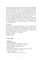 스타오(SPAO)의 성공요인과 문제점 및 향후 발전방안-5