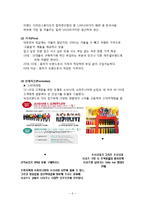 스타오(SPAO)의 성공요인과 문제점 및 향후 발전방안-6