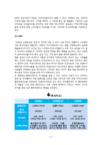 스타오(SPAO)의 성공요인과 문제점 및 향후 발전방안-8