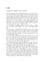 스타오(SPAO)의 성공요인과 문제점 및 향후 발전방안-11