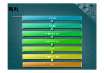 롯데캐슬 기업분석및 롯데캐슬 마케팅 SWOT,4P,STP 분석-2