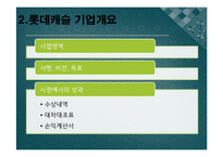 롯데캐슬 기업분석및 롯데캐슬 마케팅 SWOT,4P,STP 분석-4