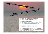 슈퍼리더십과 팔로워십의 주요내용-11