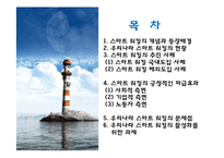 스마트 워킹의 현황과 문제점 및 향후 과제-2