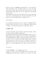 종교란 무엇인가 - 종교의 정의, 종교의 본질, 종교의 기원, 종교의 자리-4