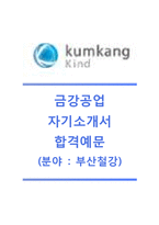 [금강공업자기소개서]금강공업(부산철강)자기소개서,금강공업자소서합격샘플,금강공업최신공채자기소개서,금강공업채용자소서,금강공업면접질문기출문제,금강공업신입자기소개서+면접족보-1