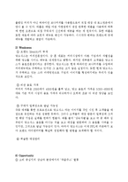 MANGOSIX 망고식스 마케팅 전략분석과 망고식스 문제점분석과 대안제안-9