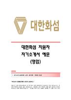 [대한화섬자기소개서] 대한화섬(영업직)자기소개서예문_대한화섬합격자소서샘플_대한화섬공채입사지원서_대한화섬영업채용자기소개서자소서_대한화섬자소서항목-1