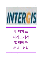 [인터지스자기소개서]인터지스자소서,인터지스합격자기소개서,인터지스합격자소서,인터지스영업직자기소개서,인터지스영업직자소서,인터지스공채자기소개서,인터지스채용자소서-1