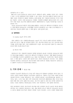 방송 광고 규제의 문제-14