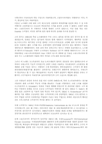 [체육]스키에 대해-4