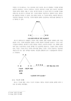 기호학에 대한 연구 논의-3
