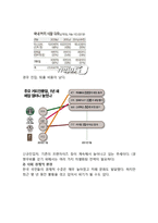 카페베네 기업분석과 카페베네 마케팅전략과 카페베네 경쟁력분석과 카페베네 기업-12
