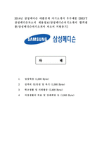 2014년 삼성메디슨 대졸공채 자기소개서 우수예문 [BEST 삼성메디슨자소서 채용정보/삼성메디슨자기소개서 자소서 지원동기]-1