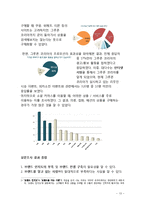 groupon 그루폰 마케팅 실패사례분석및 그루폰 재도약위한 새로운 마케팅전략 제안-13