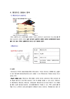 현대카드 기업분석과 현대카드 마케팅 SWOT,STP,4P전략분석 및 현대카드 경쟁사분석(롯데,삼성카드)과 현대카드 향후전략-12