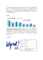 현대카드 기업분석과 현대카드 마케팅 SWOT,STP,4P전략분석 및 현대카드 경쟁사분석(롯데,삼성카드)과 현대카드 향후전략-13