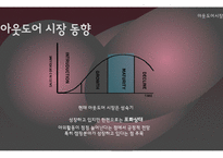 레드페이스 마케팅전략분석과 레드페이스 컨셉도출및 레드페이스 경쟁자분석(K2,노스페이스,블랙야크)-7