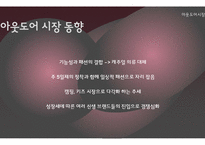 레드페이스 마케팅전략분석과 레드페이스 컨셉도출및 레드페이스 경쟁자분석(K2,노스페이스,블랙야크)-8