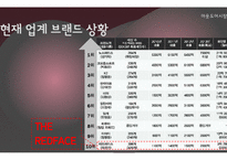 레드페이스 마케팅전략분석과 레드페이스 컨셉도출및 레드페이스 경쟁자분석(K2,노스페이스,블랙야크)-9