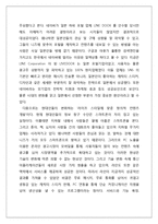 NAVER 네이버 기업분석과 네이버라인(LINE)을 통한 글로벌진출 전략분석및 네이버라인 글로벌마케팅전략 제안-10