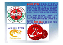 스포츠마케팅 성공,실패 사례분석과 스포츠마케팅 개념분석(삼성,코카콜라,현대자동차.나이키,프로스펙스,ASTRA 스포츠마케팅사례)-13