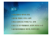 해외시장에서의 마케팅 믹스 전략과 글로벌 경영-2