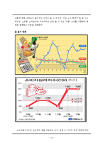 풀무원 신제품개발 마케팅전략분석과 풀무원 경쟁사(CJ제일제당)전략비교분석및 풀무원 새로운 마케팅전략 제안-18