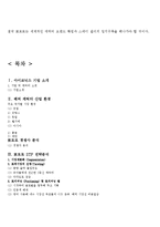 뽀로로 해외시장진출 마케팅전략분석과 뽀로로 성공요인분석및 뽀로로 마케팅 SWOT,4P전략분석과 뽀로로 글로벌마케팅전략분석-16