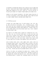 브론펜브레너의 생태체계적 관점-7