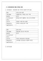 BANGBANG 뱅뱅 마케팅전략분석과 뱅뱅 브랜드분석및 뱅뱅 새로운 마케팅전략 제언-10