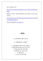 BANGBANG 뱅뱅 마케팅전략분석과 뱅뱅 브랜드분석및 뱅뱅 새로운 마케팅전략 제언-17